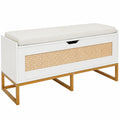 banc-de-rangement-en-rotin-avec-coussin-rembourre-pour-hall-d-entree-ou-salon-eopwmui952xn
